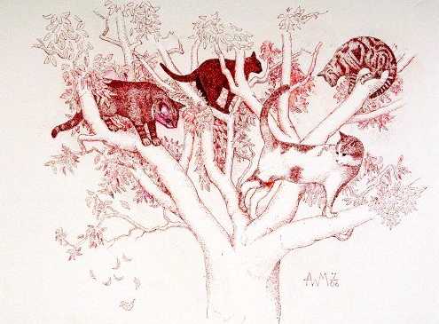 Cats in Trees