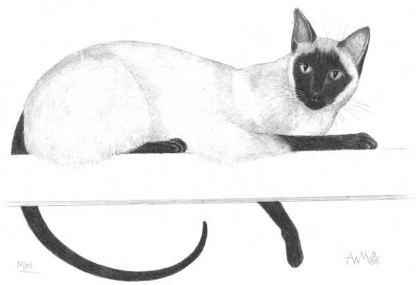 Mimi