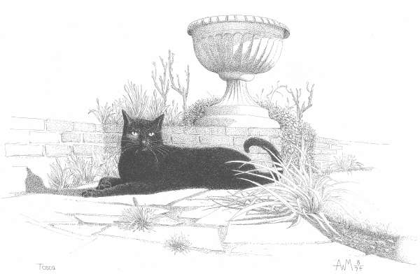 Tosca